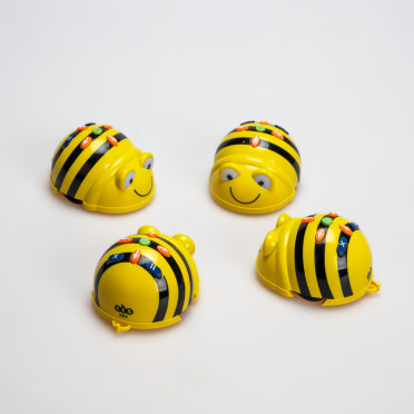 Mzhu2025_Beebots